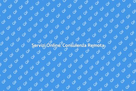 Consulenza Remota: Servizi per Casa