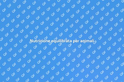 Piano alimentare per animali sani