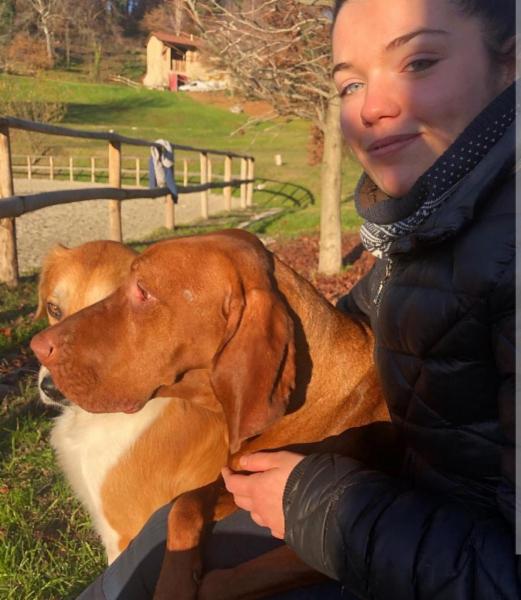 Pet sitter per Cani e Gatti - Foto 2
