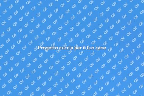 Cuccia per il cane: costruiscila ora