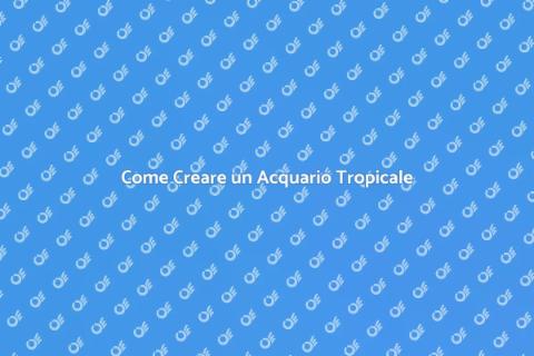 Acquario per Pesci Tropicali: Guida