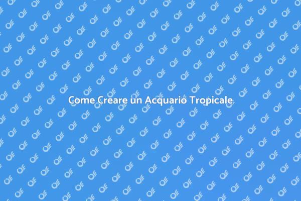 Trasforma il Tuo Soggiorno con un Acquario