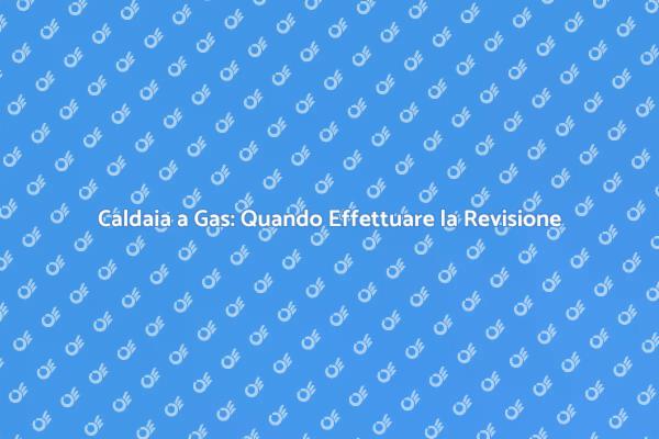Sicurezza e Comfort: Revisione Caldaia