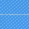 Sicurezza e Comfort: Revisione Caldaia