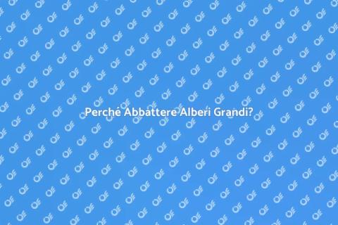 Abbattimento Alberi Grandi: Importanza