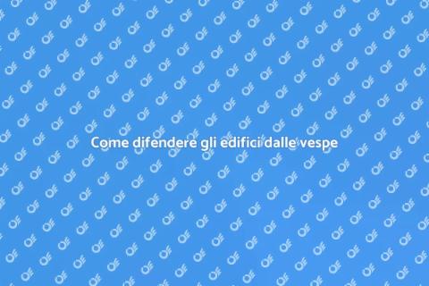 Protezione edifici da infestazioni vespe