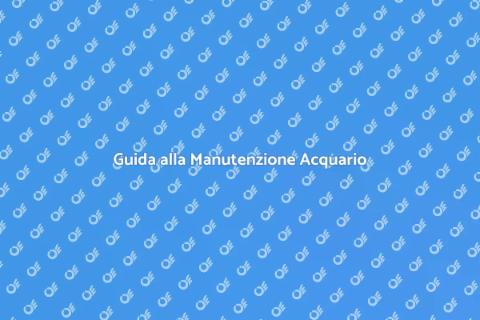 Manutenzione Ecologica Acquario