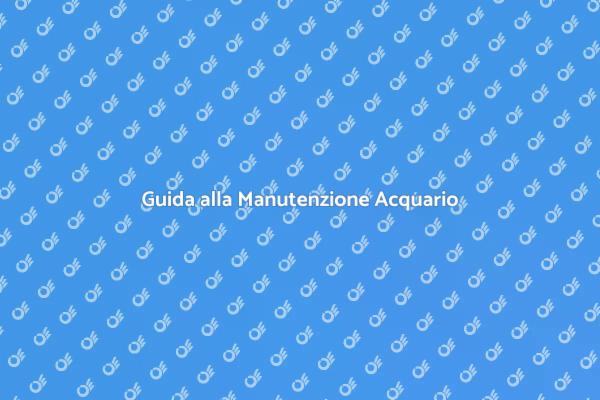 Manutenzione Sostenibile per Acquari