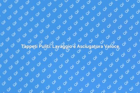 Lavaggio e Asciugatura Tappeti Rapida
