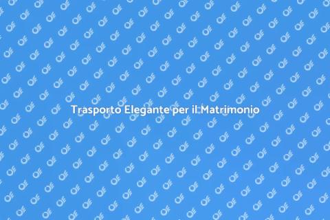 Noleggio Minibus per Matrimoni