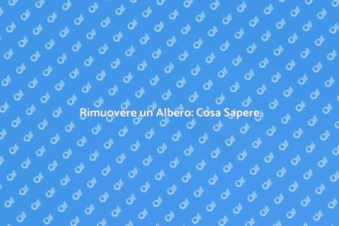Abbattere un Albero: Guida Pratica