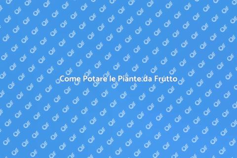 Potatura Piante da Frutto Efficace