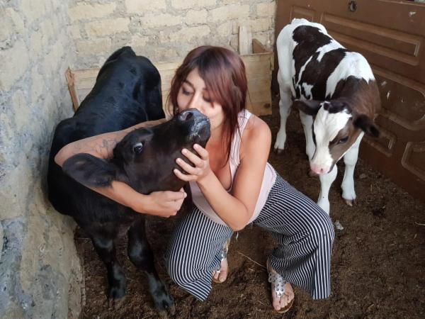 Pensione per cani, dog sitter - Foto 1