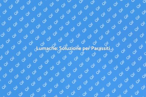 Controllo Parassiti con Lumache