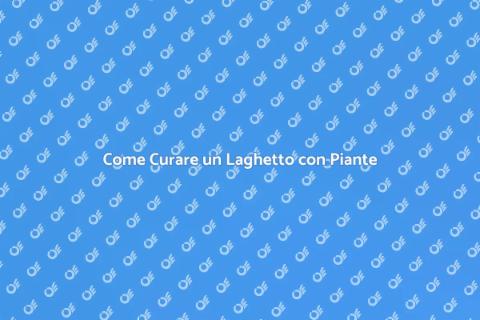 Manutenzione Laghetto con Piante Filtranti