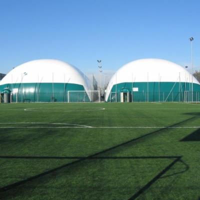 Michel Teloni S. - Foto 3