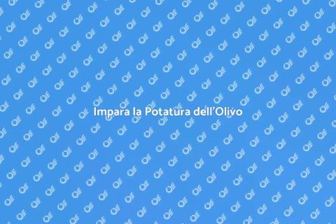 Corso di Potatura per Olivo