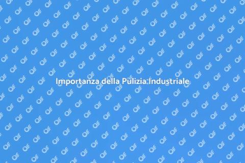Pulizia Impianti di Produzione