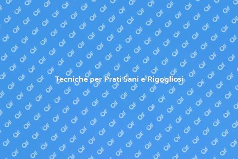 Mantenere un Prato in Salute
