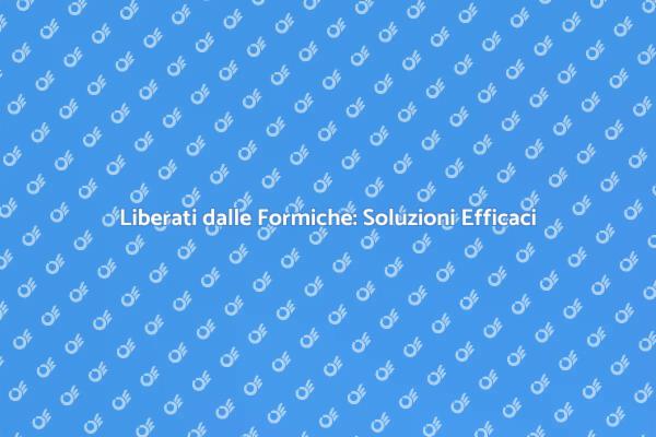 Come Eliminare le Formiche in Casa