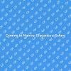 Camino in Marmo: Stile e Comfort