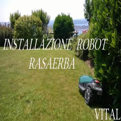 Vital  - Foto 5