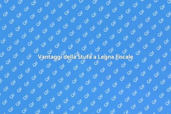 Comfort e Risparmio con la Stufa a Legna