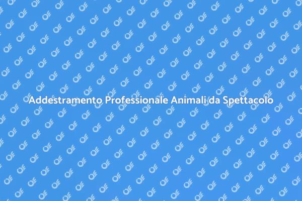 L'Importanza dell'Addestramento Animale