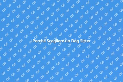 Assumere un Dog Sitter: Vantaggi