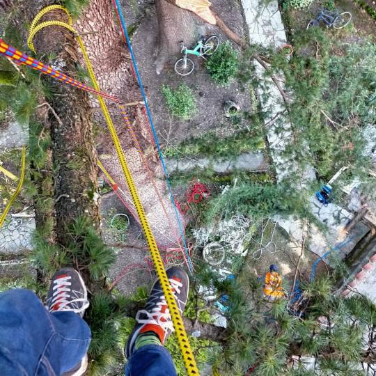 Sherwood TreeWorker - Foto 8