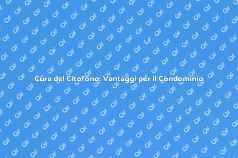Manutenzione Citofono Condominiale