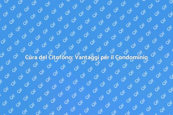 Manutenzione Citofono: Sicurezza e Funzionalità