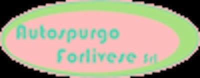 Autospurgo Forlivese  - Foto 1