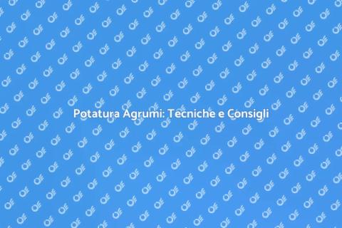 Potatura Agrumi: Guida Essenziale