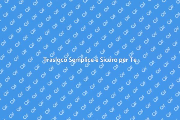 Trasloco e Deposito Mobili Professionale