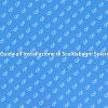 Installazione Scaldabagno Solare: Ecco Come