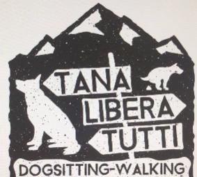 dogsitting, gruppi di dogtrekking e socializzazioni - Foto 1