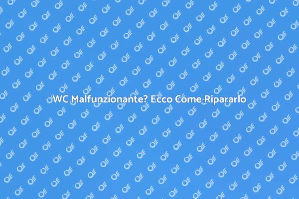 Guida alla Riparazione del WC