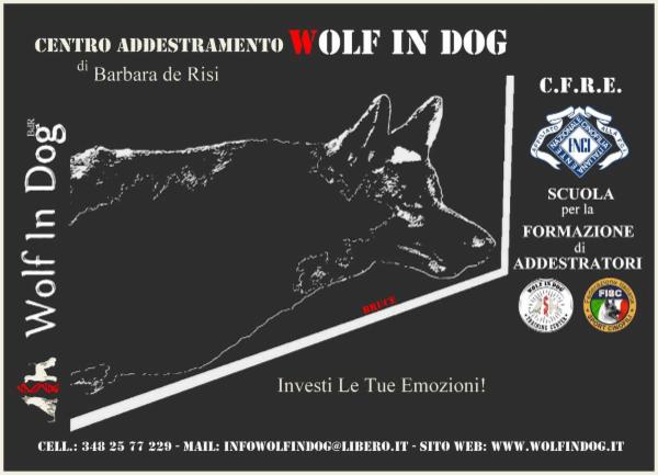 Wolf In Dog di Barbara de Risi - Foto 4
