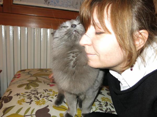 AngelaCatSitting  - Foto 1