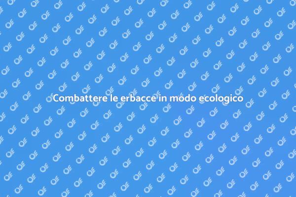Segreti per un giardino senza erbacce