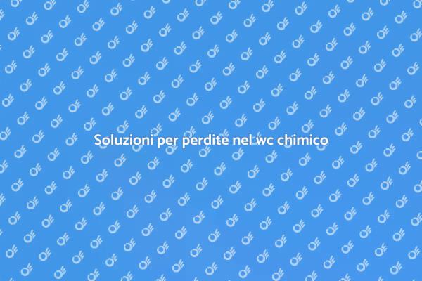 Risolvi le perdite nel wc chimico