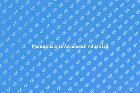Supporto Ascensori Industriali