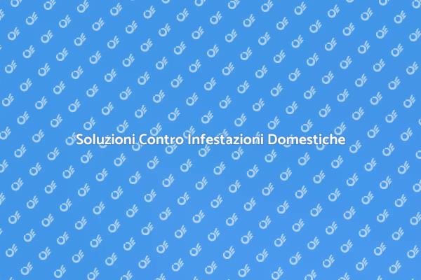 Guida alle Infestazioni Domestiche