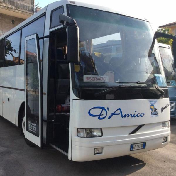 Noleggio Bus D'Amico  - Foto 6