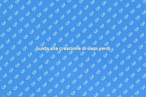 Creazione siepe da giardino efficace