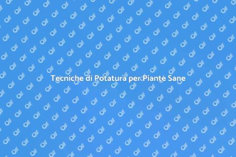 Potare Alberi e Arbusti con Maestria