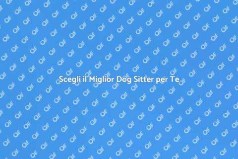 Dog Sitter Esperto per il Tuo Amico