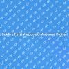 Antenna Digitale: Installazione Facile