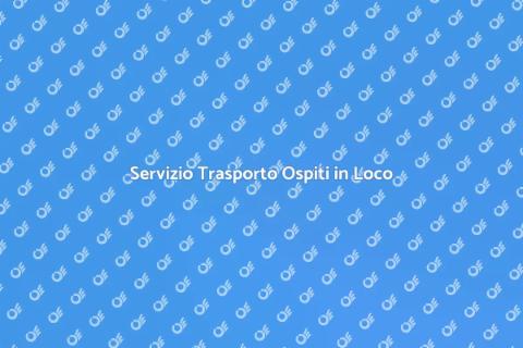 Trasporto Ospiti: Accoglienza Perfetta